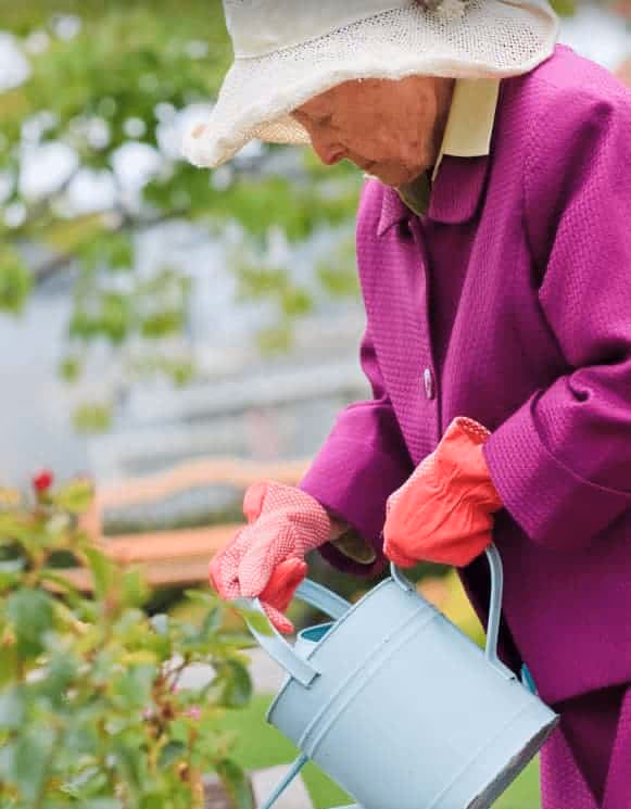 Summer Safety in the Garden