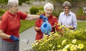 Who Lives in Assisted Living?