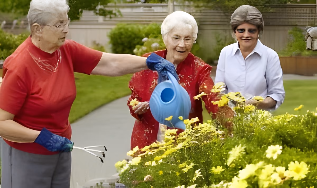 Who Lives in Assisted Living?