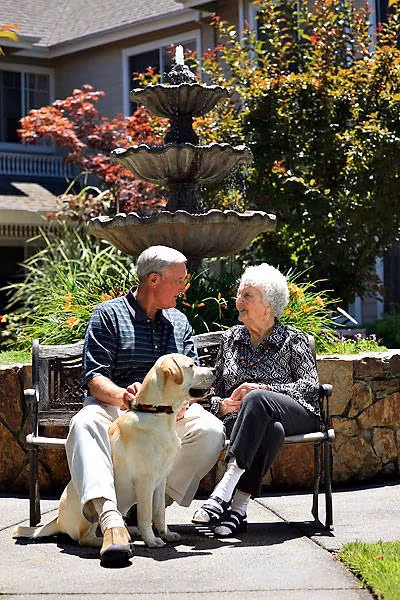 A resident couple out for a stroll with their dog by the fountain