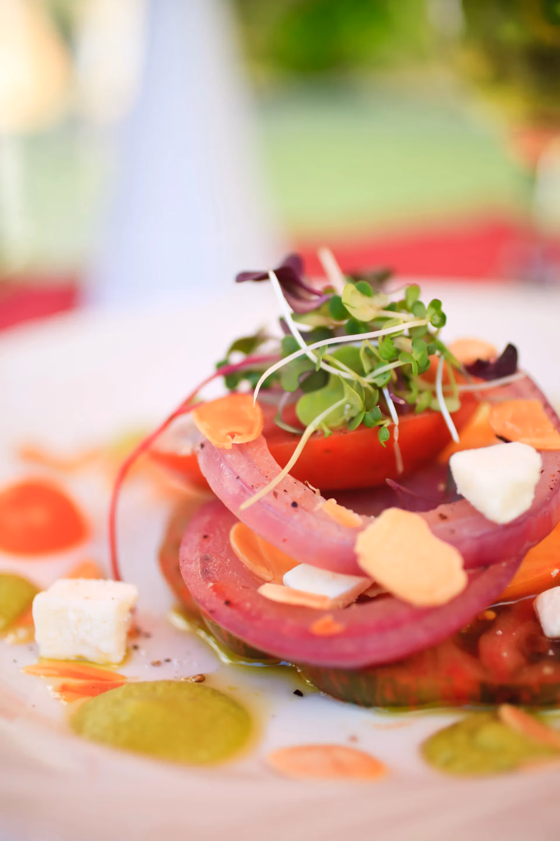 A fresh, colorful heirloom tomato salad plated by an Áegis Living chef