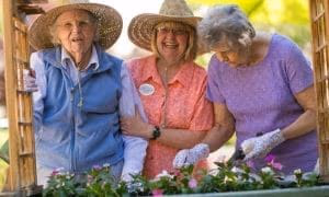 What is Assisted Living?