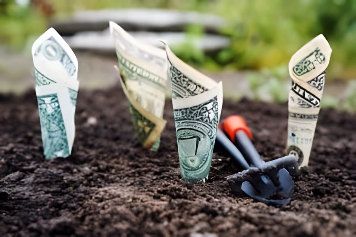 Have You Saved Enough for Retirement?