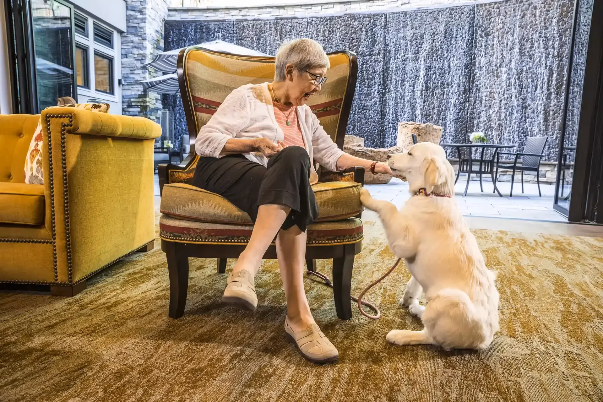 A senior resident relaxing with a visiting therapy dog in a warm, sunlit Áegis Living lounge