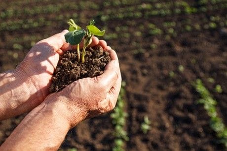 Springtime Activities for Seniors