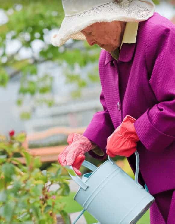 Summer Safety in the Garden