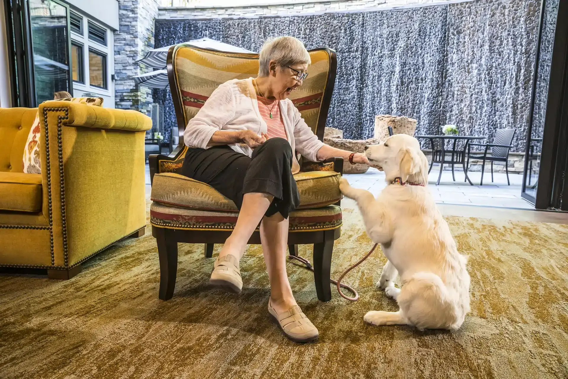 Illustration representing stages of senior care